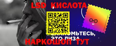 шишки Бузулук