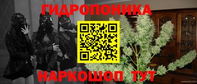 кокс Будённовск